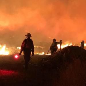 Meet your Posher, Kylee